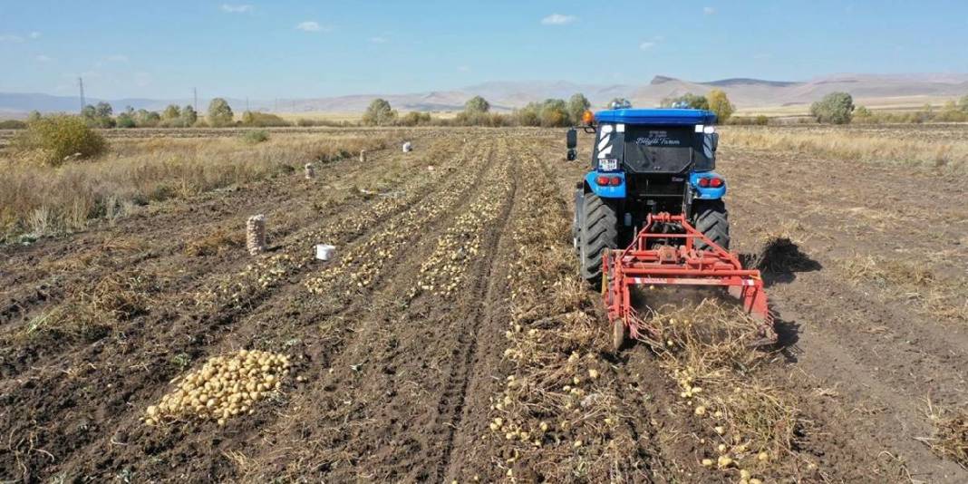 Kış erkenden geldi havalar soğudu! Toprak donmadan hasat telaşı başladı: El birliğiyle toplanıyor 2